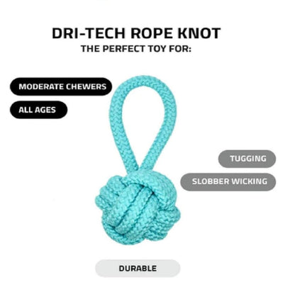 Dog Chew Toy Combo Pack of 6 | Rope Ball, Rubber Ball and Training Toys for Puppies and Small Dogs (Multicolor)