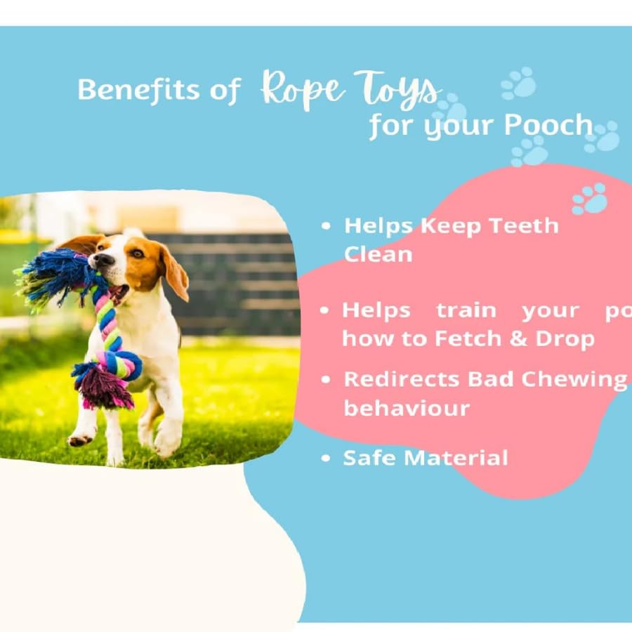 Dog Chew Toy Combo Pack of 6 | Rope Ball, Rubber Ball and Training Toys for Puppies and Small Dogs (Multicolor)