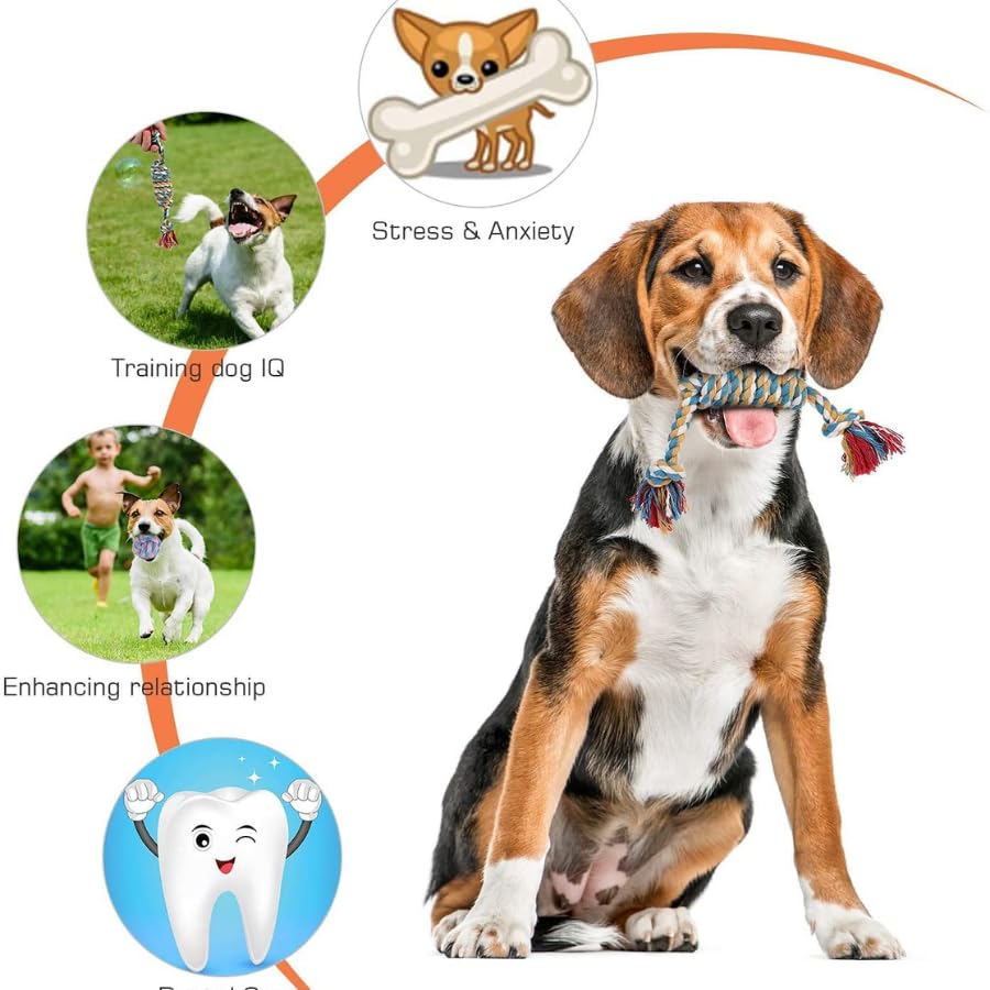 Dog Chew Toy Combo Pack of 6 | Rope Ball, Rubber Ball and Training Toys for Puppies and Small Dogs (Multicolor)