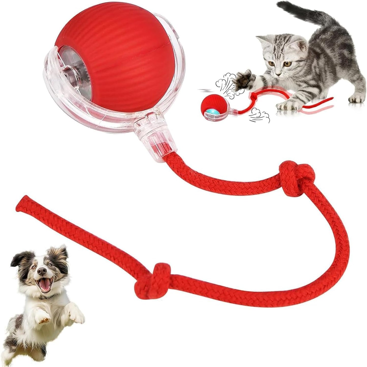 Cat Dancing Ball | Smart Automatic Rolling Pet Ball for Dogs and Cats