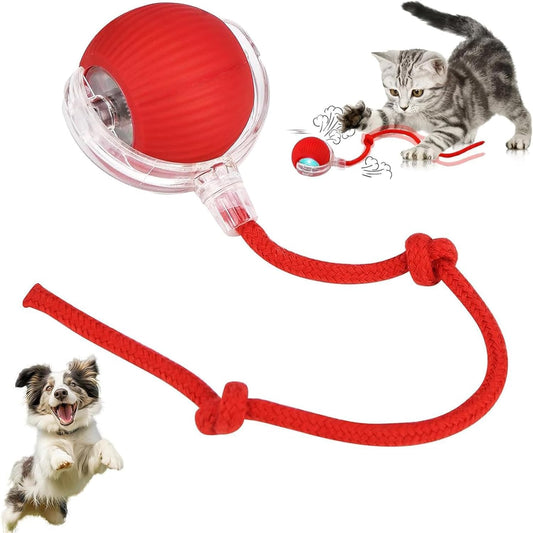 Cat Dancing Ball | Smart Automatic Rolling Pet Ball for Dogs and Cats