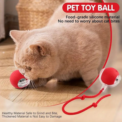 Cat Dancing Ball | Smart Automatic Rolling Pet Ball for Dogs and Cats