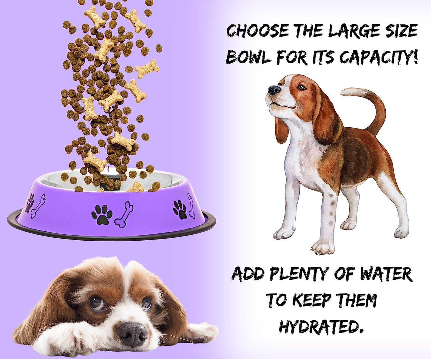 Dog Bowl 720 ml – Non-Skid Stainless Steel Food and Water Feeding Bowl (Purple)
