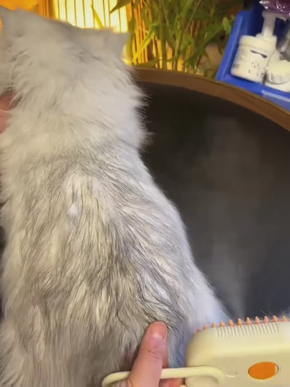 Steam Brush for Dogs and Cats – 3-in-1 Grooming, Cleaning and Shedding Solution
